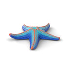 Sea animals discovery set