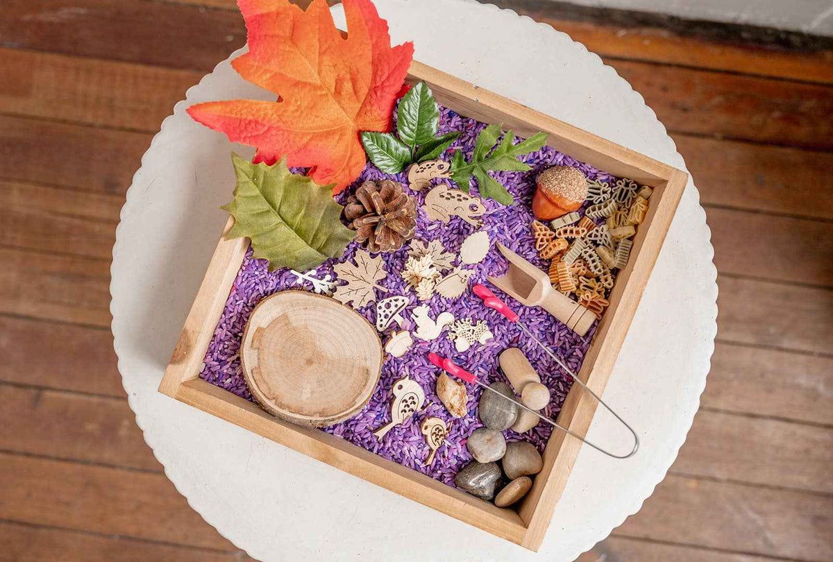 monkey bandit kids - Easy Forest & Nature Sensory Kit - Dump and Play Bag - Made in Canada - Ages 3+