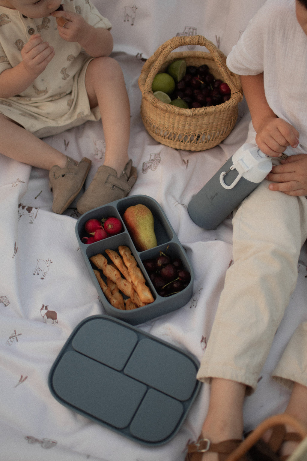 bento silicone lunch box | 4 compartments